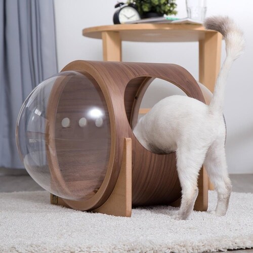 �F���DALPHA(�E�H�[���i�b�g) MZ0079 �y�v���U�Z���N�g�z_7