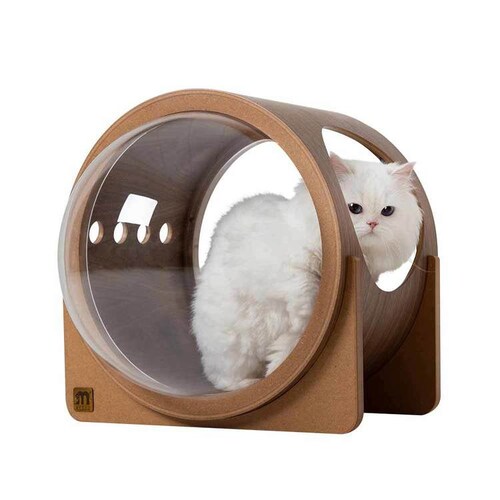 �F���DALPHA(�E�H�[���i�b�g) MZ0079 �y�v���U�Z���N�g�z_8