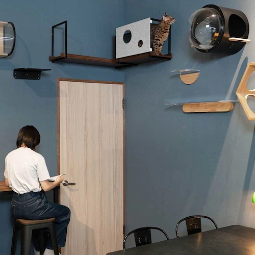 AVENUECOVER/M MZ0099 �y�v���U�Z���N�g�z_10