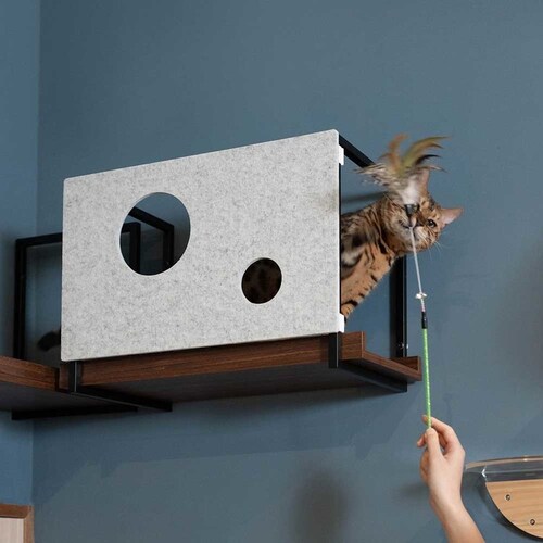 AVENUECOVER/M MZ0099 �y�v���U�Z���N�g�z_13