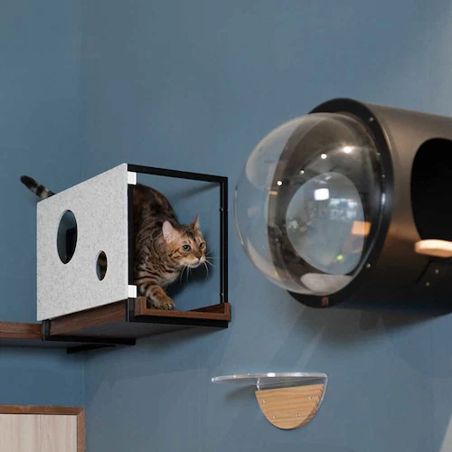 AVENUECOVER/M MZ0099 �y�v���U�Z���N�g�z_14