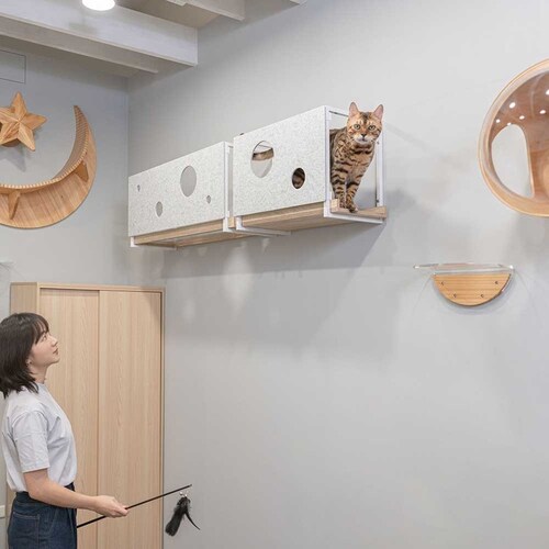 AVENUECOVER/L MZ0100 �y�v���U�Z���N�g�z_4