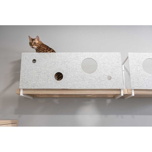 AVENUECOVER/L MZ0100 �y�v���U�Z���N�g�z_6