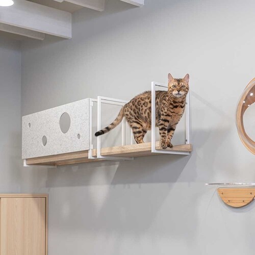 AVENUECOVER/L MZ0100 �y�v���U�Z���N�g�z_10