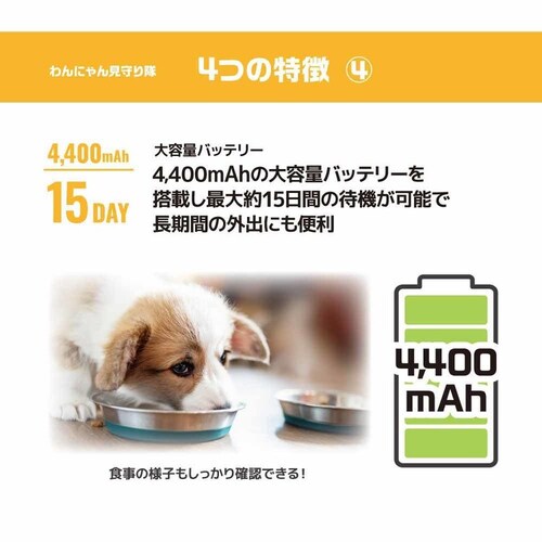 アンサー株式会社 わんにゃん見守り隊 ANP-W001 【プラザセレクト】_6