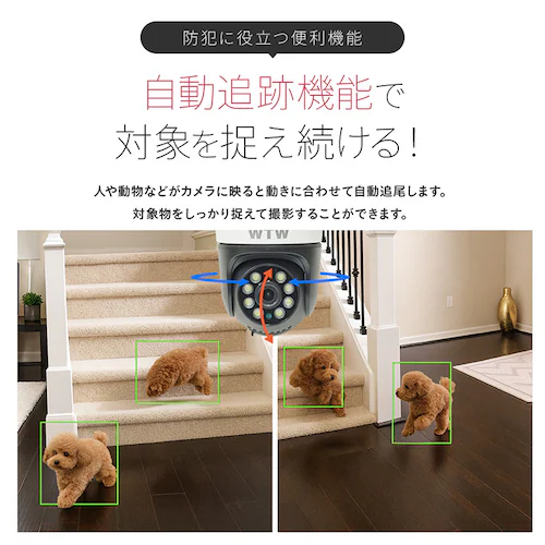 IP�h�Ɠ��p���E�`���g�J���� �S�}�����S2 WTW-E2305S2X �y�v���U�Z���N�g�z_12