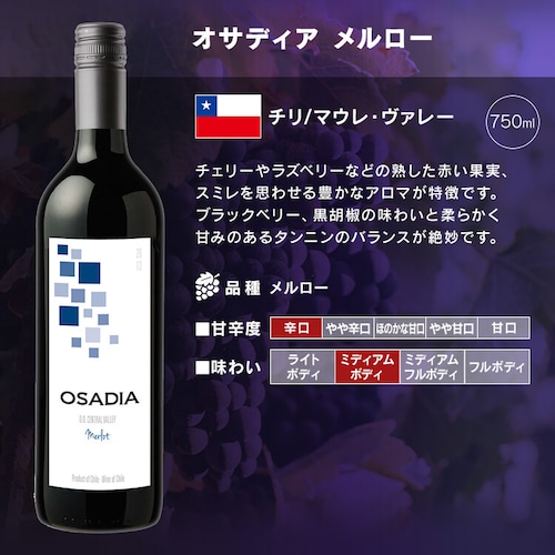 【9820円OFFクーポン配布中!】フランス金賞ワインと世界の赤ワイン 11本セット_17