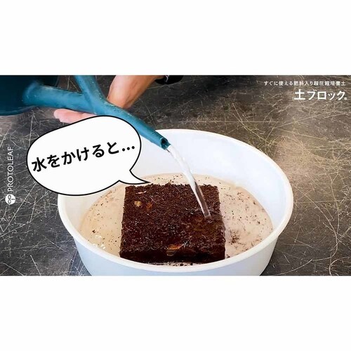 �v���g���[�t �y�u���b�N�@�W�k�f�B�X�N 8L �y�v���U�Z���N�g�z_8