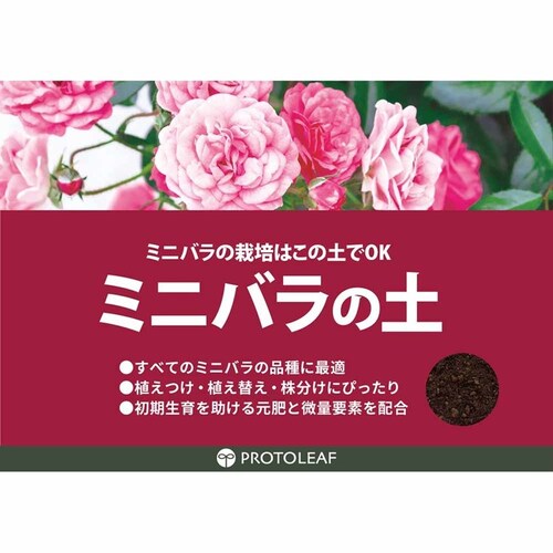 �v���g���[�t �~�j�o���̓y 2L �y�v���U�Z���N�g�z_3