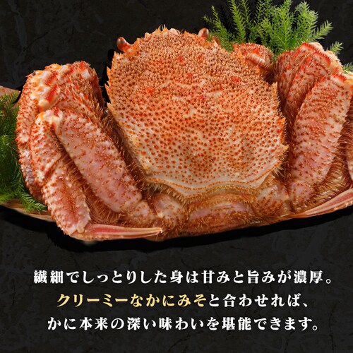 �k�C���Y�{�C���уK�j 570g _2