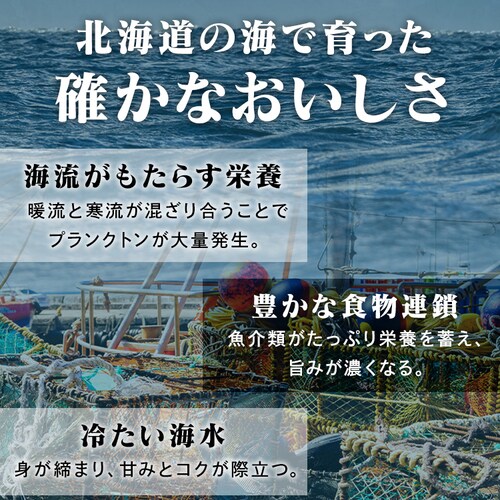 �k�C���Y�{�C���уK�j 570g _5