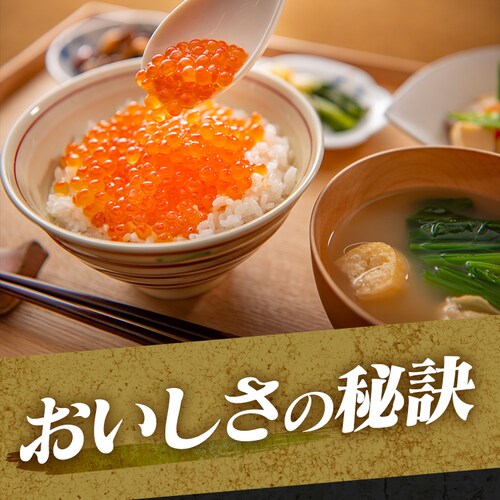 �k�C���Y������ݖ���100g�~2 _2