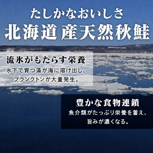 �k�C���Y������ݖ���100g�~2 _5