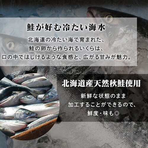 �k�C���Y������ݖ���100g�~2 _6