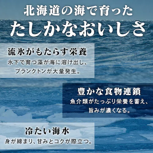 北海道産 ほたて貝柱250g×2 _5
