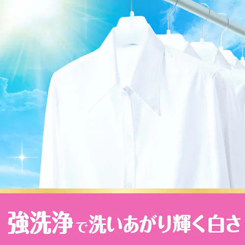 P&G�W���p��������� �{�[���h�W�F��������t���[�����̍��� �{��_5