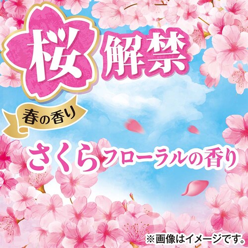 P&G�W���p��������� �{�[���h�W�F��������t���[�����̍��� �{��_18