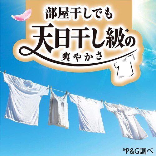 P&G�W���p��������� �{�[���h�W�F��������t���[�����̍��� �{��_22