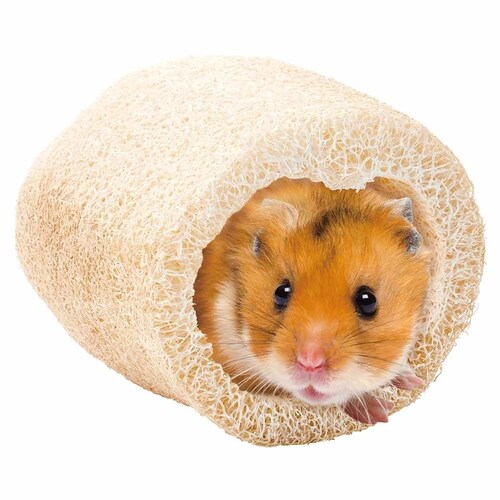 minimal LAND �~�j�}���H�[ �w�`�}�g�C �����O1�{���܂�1�� ML-686 �y�v���U�Z���N�g�z_6