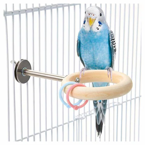 minimal LAND 小鳥のとまリング MB-439 【プラザセレクト】_3