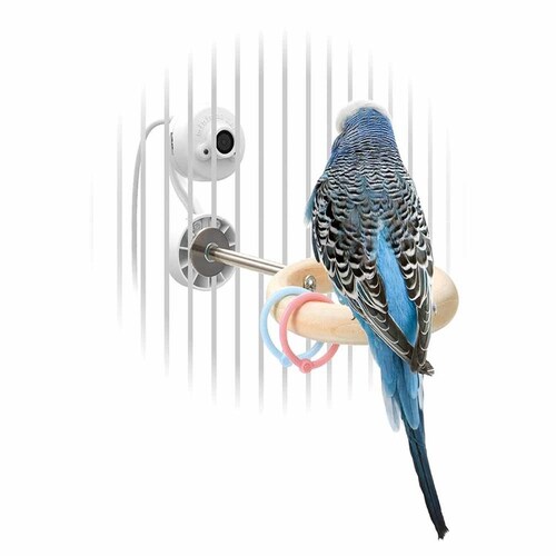 minimal LAND 小鳥のとまリング MB-439 【プラザセレクト】_4