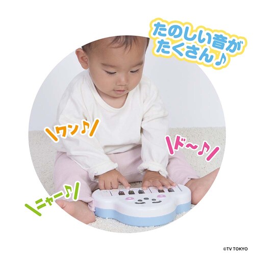 �������e����I�͂��߂Ẵh���~�t�@�Ղ���Ղ��� �y�v���U�Z���N�g�z_5