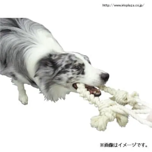 ナチュラルコットンロープ SS・S・M(超小型犬〜中型犬向き/おもちゃ・デンタルトイ)【プラザセレクト】_2