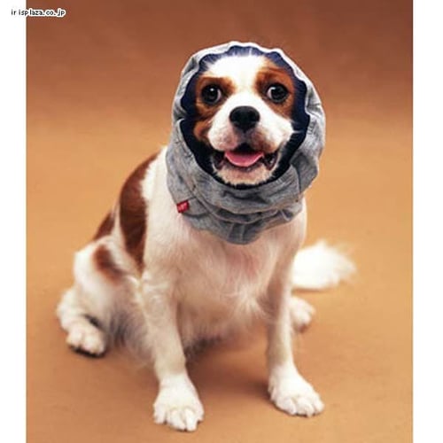 犬と生活 スヌード S Lサイズ ネイビー グレー ブラック プラザセレクト f アイリスプラザ アイリスオーヤマ公式通販サイト