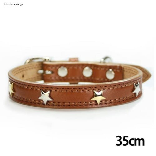 BIRDIE X^[^J[ 28cm ubN_5