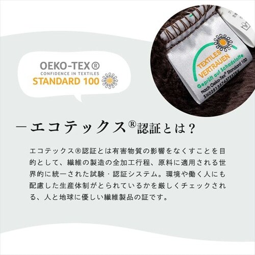 fondan ѕz Ђ| v~A}CNt@Co[ S10F _11