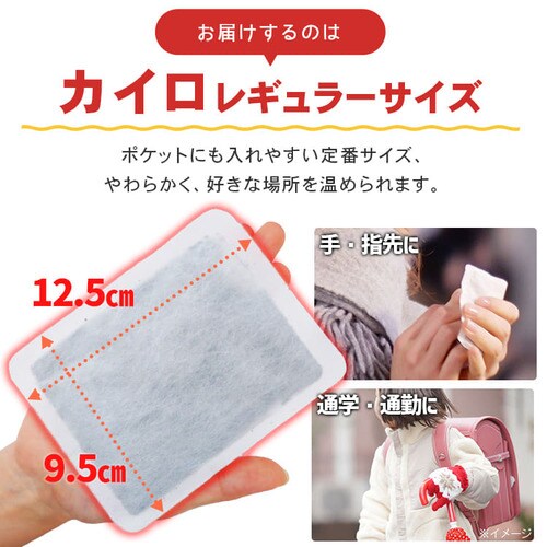 アイリスオーヤマ 使い捨てカイロ 貼る レギュラー　20個入