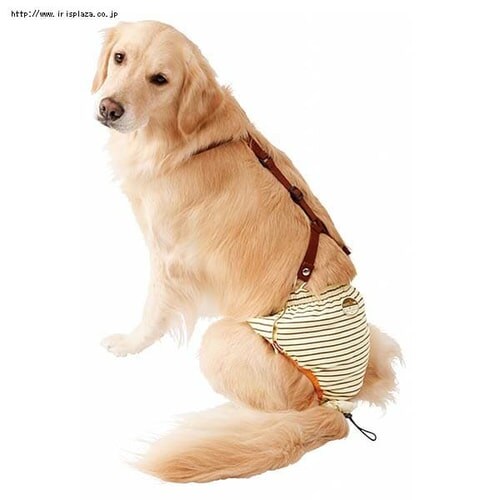 ペティオ Petio 老犬介護用 おむつパンツk Mサイズ プラザセレクト アイリスプラザ アイリスオーヤマ公式通販サイト ペティオ Petio 老犬介護用 おむつパンツk Mサイズ プラザセレクト アイリスプラザ アイリスオーヤマ公式通販サイト