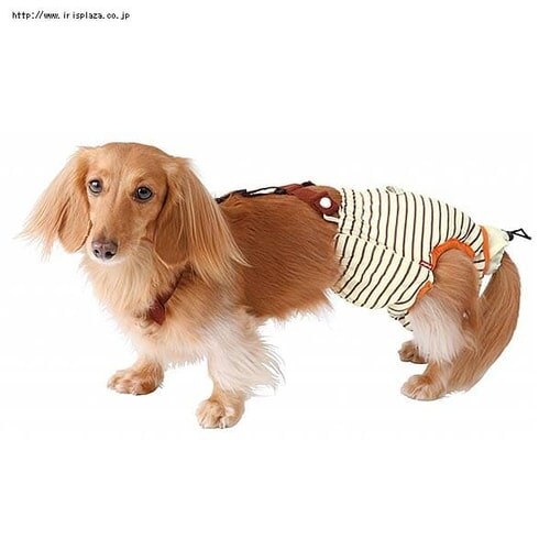 ペティオ（Petio）老犬介護用 おむつパッドK 2Lサイズ【プラザセレクト】 9604575 │アイリスプラザ│アイリスオーヤマ公式通販サイト