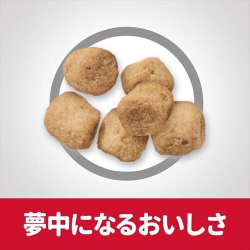 qY TCGX_CGbg Cg 얞X̐Lp(1`6) `L 1.8kg_6