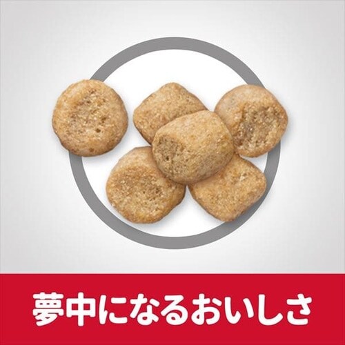 qY TCGX_CGbg VjACg 얞X̍Lp(7Έȏ)`L 1.8kg _6