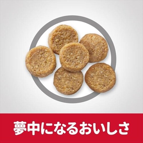 qY TCGX_CGbg Cg 얞X̐Lp(1`6)܂ 1.8kg _6
