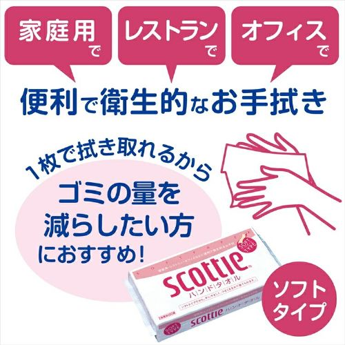 ≪9％OFF≫【60パック】 ペーパータオル ハンドタオル 100組 小判 大