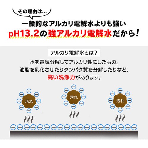 リンサークリーナー専用洗浄液 RNSE-460 G100537│アイリスプラザ 