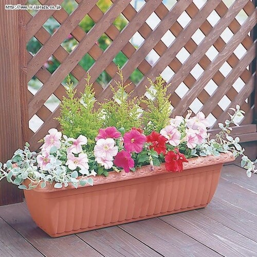 （まとめ）アイリスオーヤマ レリーフプランター650（テラコッタブラウン） （×50セット） （まとめ）アイリスオーヤマ レリーフプランター650