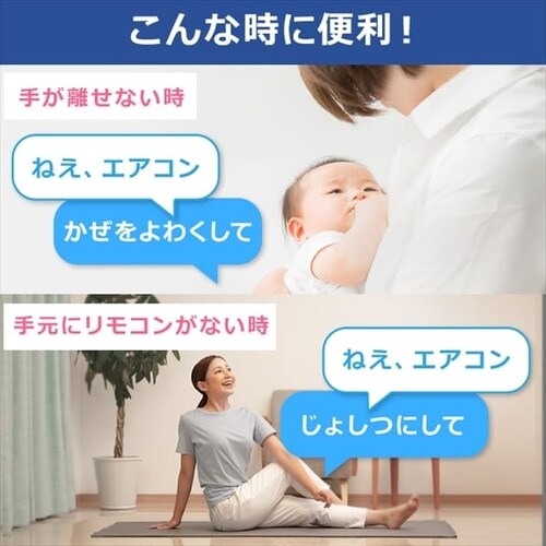 GAR 10 H  2.8kw 100VΉ IAF-2806GVysz_8