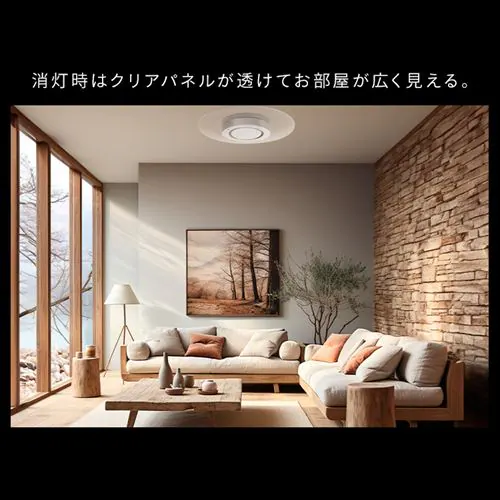LED V[OCg 12  F HEHsv Rt 5Nۏ CEA-A12DLPS_7