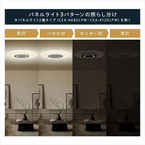 LED V[OCg 12  F HEHsv Rt 5Nۏ CEA-A12DLPS_14