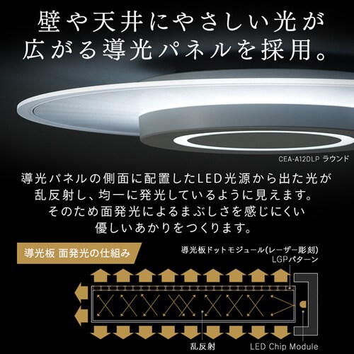 LED V[OCg 12  F HEHsv Rt 5Nۏ CEA-A12DLPS_5