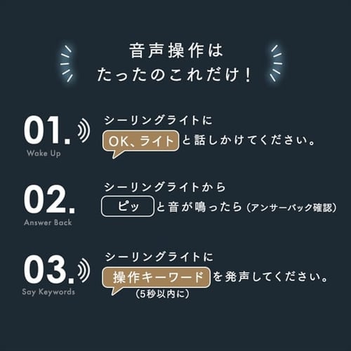 LED シーリングライト 12畳 調光 調色 音声操作 工具・工事不要