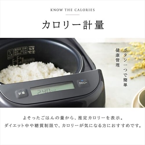圧力IHジャー炊飯器 5.5合 RC-PCA50-H グレー