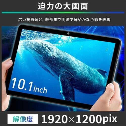 ^ubg10C` TM101N2-GY O[ _4