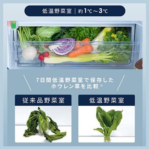 ① 453L  X ƒp eʗⓀ132L t`hA 68.5cm IRGN-45A S2F_11