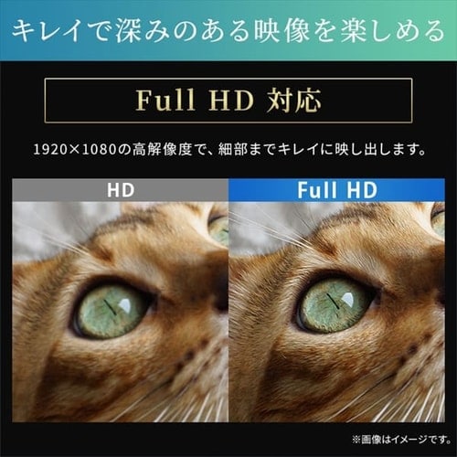 公式サイト価格25,080円 液晶 21.5インチ BLD-D21FHDS-B