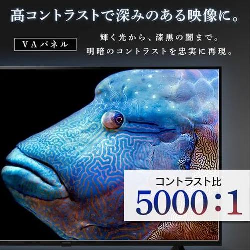 Fiona ter 4K 43V^ 43UB10PC_7