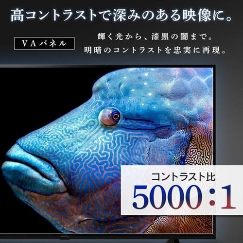 4K対応液晶テレビ 50V Fiona 50UB10PC ブラック H102823F│アイリス